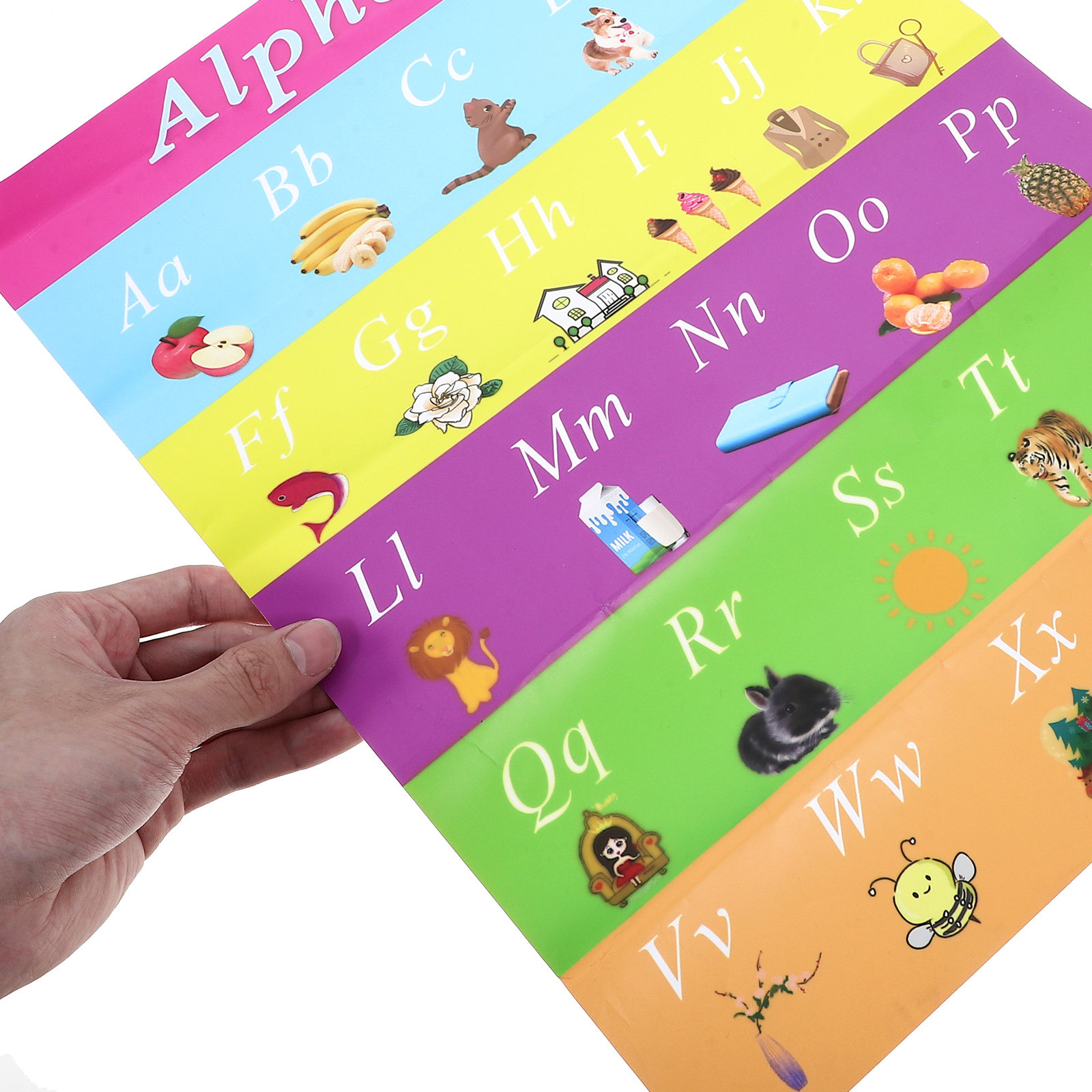 Early Education Poster 30x40cm - Kids Educational Posters recension och pris